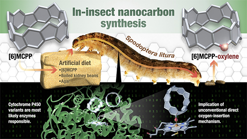 figure of Caterpillar factories produce fluorescent nanocarbons