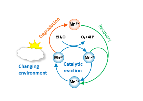 figure of Manganese’s resilience is key to its use as a catalyst