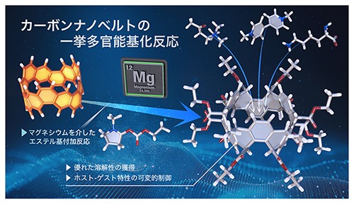 カーボンナノベルトの一挙多官能基化に成功